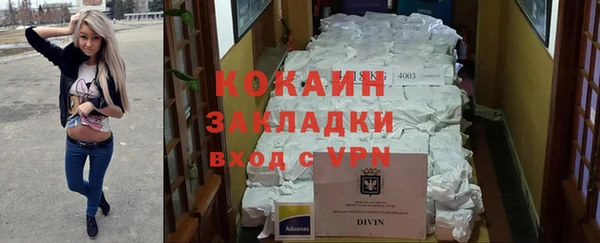 крисы Бронницы