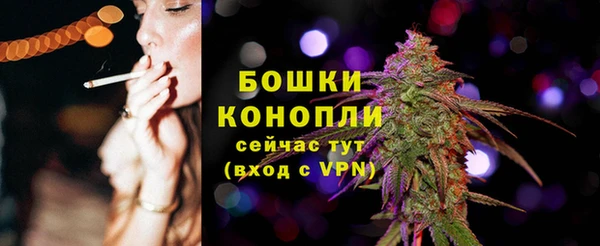 крисы Бронницы