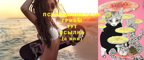 крисы Бронницы