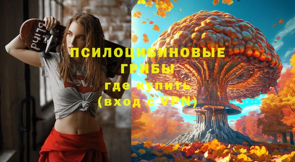 сатива Бугульма