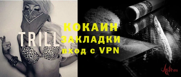 крисы Бронницы